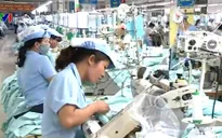 Các DN dệt may khó được hưởng ưu đãi thuế suất từ TPP