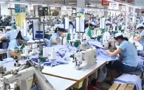 Dệt may tìm lời giải cho bài toán nguyên phụ liệu khi gia nhập TPP