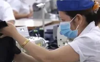 Nở rộ khu công nghiệp dệt may đón đầu TPP