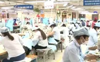 Nhiều mặt hàng hưởng thuế suất 0% ngay khi TPP có hiệu lực