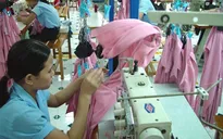 Nền kinh tế Việt Nam có nhiều tín hiệu tích cực