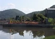Phú Yên: Khu di tích đầm Ô Loan đang bị “xẻ thịt”