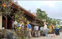 Di tích Huế thu hút đông du khách ngày đầu năm mới