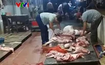 Kiểm dịch thú y: Không kiểm dịch vẫn đóng dấu thông hành