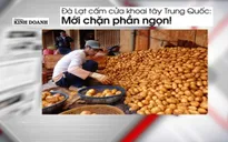 Cấm cửa khoai tây Trung Quốc: Chỉ mới chặn ngọn