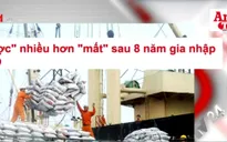 Điểm báo 21/9: Việt Nam gia nhập WTO, “được” nhiều hơn “mất”