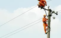 EVN bảo dưỡng hệ thống điện miễn phí cho 7.500 hộ dân