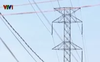 Điện lực Đồng Nai thừa nhận 21 hộ dân nhiều năm không có điện