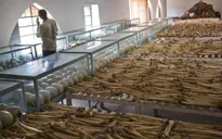 LHQ tưởng nhớ các nạn nhân của nạn diệt chủng ở Rwanda