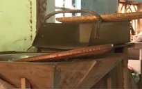 Hệ lụy từ vụ vỡ nợ của đại lý thu mua điều