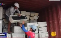 TP.HCM: Bắt giữ 3 container hàng cấm nhập khẩu