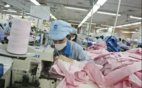 Năm 2015: Gần 95.000 doanh nghiệp thành lập mới