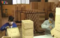 Doanh nghiệp thiếu thông tin hội nhập