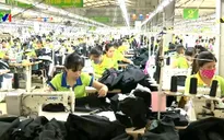 Tháng 8/2015, hơn 9.000 doanh nghiệp thành lập mới
