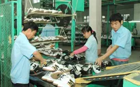 Doanh nghiệp da giày ngoại đổ bộ vào Việt Nam nhờ TPP