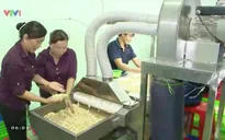 Phá giá đồng nhân dân tệ: DN Việt Nam không thể chủ quan