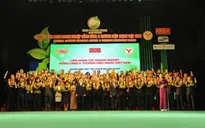 71 doanh nghiệp FDI nhận giải thưởng Rồng vàng