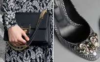 Dolce & Gabbana ra mắt BST Thu Đông 2015/16 thanh lịch