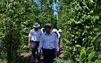 Huyện, thị xã nông thôn mới đầu tiên của cả nước