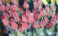 Rực rỡ sắc hoa ngày 20/10