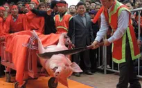 Bắc Ninh: Điều chỉnh tục chém lợn tại Lễ hội làng Ném Thượng