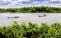 THTT: Khai mạc Lễ hội Dừa Bến Tre lần thứ IV-2015 (20h10, VTV1)