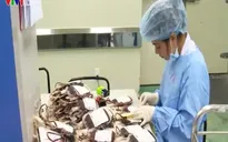 Đủ lượng máu dự trữ cung ứng cho các bệnh viện dịp Tết