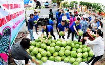 Thực hư việc tỉnh đoàn Quảng Ngãi “ăn chênh” tiền bán dưa hấu của người dân
