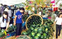 TP.HCM: Dưa hấu tiêu thụ mạnh tại các siêu thị