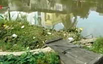 Đồng Tháp: Thương tâm ba trẻ bị đuối nước