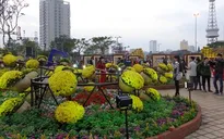 Đà Nẵng: Đường hoa Xuân Bạch Đằng mở cửa phục vụ người dân