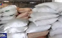 Bắt giữ hơn 800 bao đường cát nhập lậu tại An Giang