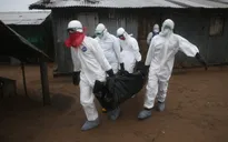 Liberia xác nhận có thêm hai trường hợp nhiễm Ebola mới