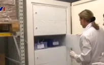 WHO thử nghiệm vaccine Ebola tại vùng dịch
