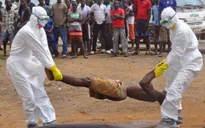 Thêm 1 bệnh nhân tử vong do Ebola tại Liberia