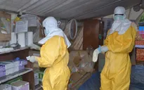 Guinea công bố hết dịch Ebola