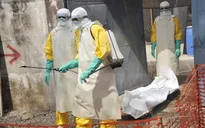 WB viện trợ thêm 650 triệu USD cho các nước có "ổ dịch" Ebola