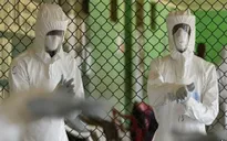 Tốc độ lây truyền Ebola tại Tây Phi đang giảm dần