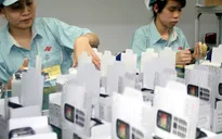 Kim ngạch xuất nhập khẩu hàng hóa đạt gần 59,76 tỷ USD