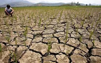 Peru ban bố tình trạng khẩn cấp về hiện tượng El Nino