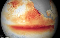 Hiện tượng El Nino 2016 có thể mạnh như năm 1998