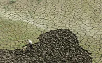 Hiện tượng El Nino đang mạnh lên sau 1 thập kỷ