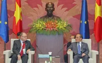 Chủ tịch Quốc hội tiếp Phó Chủ tịch Nghị viện châu Âu