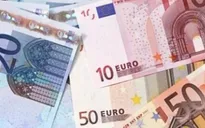 Đồng Euro giảm chưa ảnh hưởng nhiều đến xuất khẩu của Việt Nam
