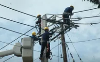 EVN rút quy trình cấp điện cho doanh nghiệp xuống còn 10 ngày