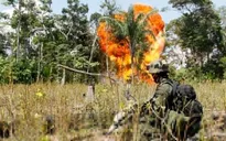 Colombia: Giao tranh ác liệt giữa quân Chính phủ và FARC