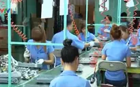 TP.HCM: Nhiều doanh nghiệp FDI gặp vướng mắc pháp lý và thuế