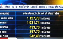 Top 5 "thỏi nam châm" hút vốn FDI nhiều nhất Việt Nam