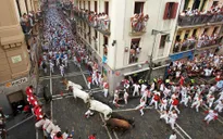 Tây Ban Nha: Tưng bừng lễ hội bò tót San Fermin