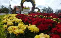 Festival Hoa Đà Lạt năm 2015 hứa hẹn nhiều hoạt động hấp dẫn